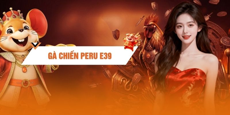 Gà Chiến Peru - Bí Kíp Chọn Kê Dũng Mãnh Và Luyện Thực Chiến