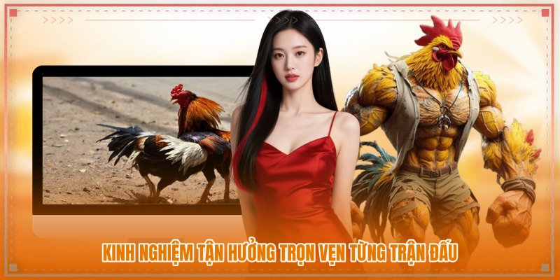 Kinh nghiệm tận hưởng trọn vẹn từng trận đấu